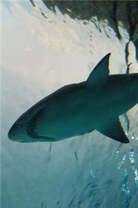 Underwater Shark Journal