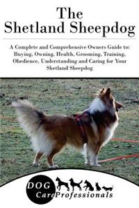 The Shetland Sheepdog