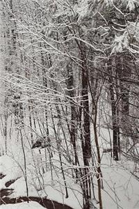 Winter Journal Scenic Snowstorm