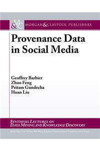 Provenance Data in Social Media