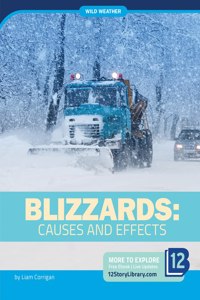 Blizzards: Causes and Effects