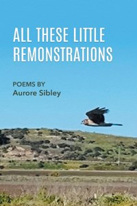 All These Little Remonstrations