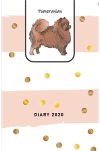 Pomeranian Diary 2020