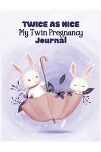 Twice as nice my twin pregnancy journal