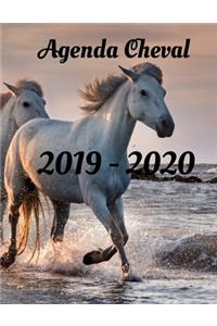 Agenda Cheval 2019 - 2020