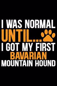 I Was Normal Until I Got My First Bavarian Mountain Hound