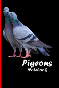 Pigeons Notebook