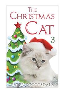 Christmas Cat 3