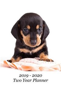 2019