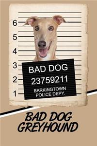 Bad Dog Greyhound