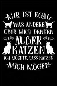 Katzen Sollen Mich Gut Finden