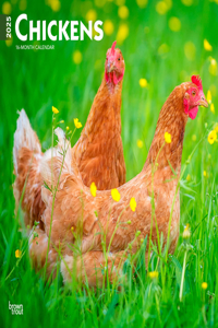 Chickens 2025 Square Wrap