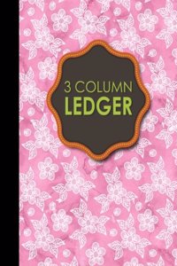 3 Column Ledger