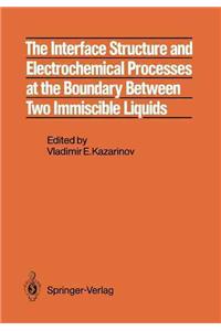 The Interface Structure and Electrochemical Processes at the Boundary Between Two Immiscible Liquids