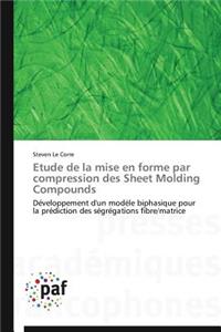 Etude de la Mise En Forme Par Compression Des Sheet Molding Compounds