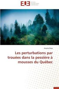 Les Perturbations Par Trouées Dans La Pessière À Mousses Du Québec