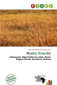Madia Gracilis