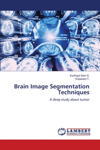 Brain Image Segmentation Techniques