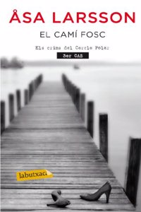 El cami fosc