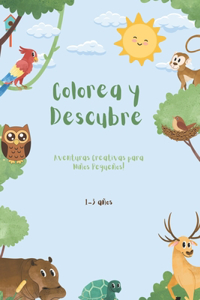 Colorea y Descubre