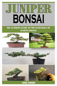 Juniper Bonsai