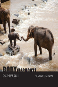 Baby Elephants Calendar 2021