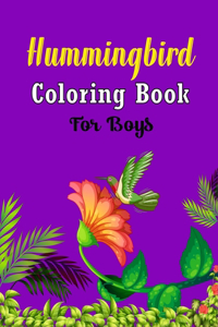 Hummingbird Coloring Book For Boys