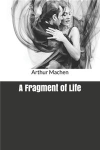 A Fragment of Life