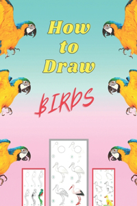 How to Draw Birds