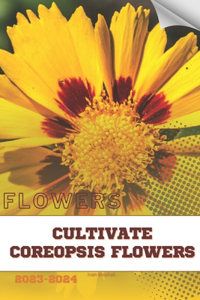 Cultivate Coreopsis Flowers