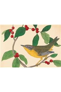 Audubon Bird Holiday Notecards