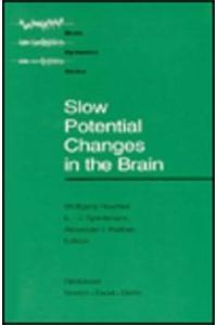 Slow Potential Changes in the Brain