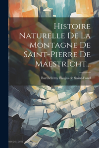 Histoire Naturelle De La Montagne De Saint-pierre De Maestricht...