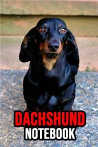 Dachshund Notebook