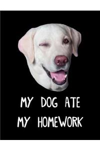 My Dog Ate My Homework