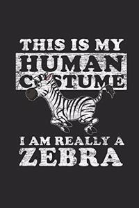 Zebra - This Is My Human Costume