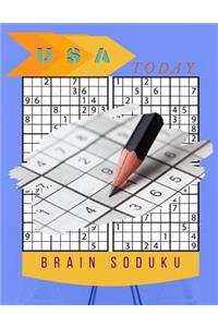 USA Today Brain Soduku