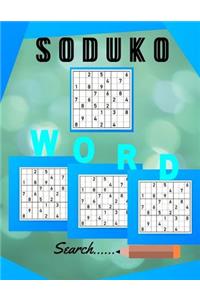Soduko Word Search