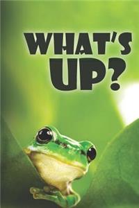 What's Up?