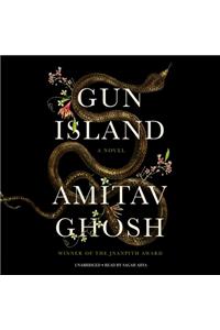 Gun Island
