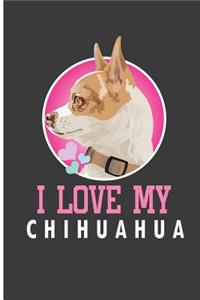 I Love My Chihuahua