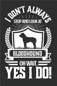 I Don't Always Stop and Look At Bloodhound OH Wait, Yes I Do!