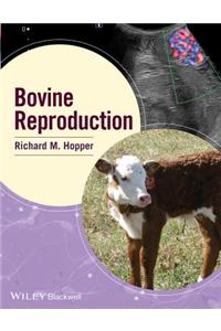 Bovine Reproduction