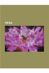 VESA: Computer Display Standard, VESA Local Bus, VESA BIOS Extensions, VESA Display Power Management Signaling