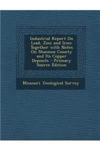 Industrial Report on Lead, Zinc and Iron: Together with Notes on Shannon County and Its Copper Deposits