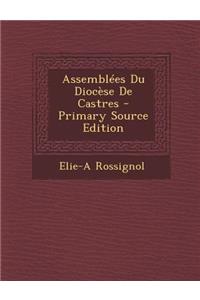 Assemblees Du Diocese de Castres