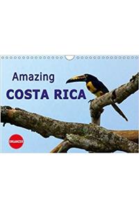 Amazing Costa Rica 2018