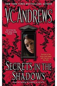 Secrets in the Shadows
