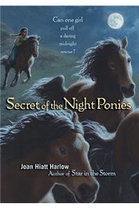 Secret of the Night Ponies