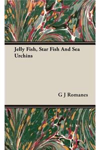 Jelly Fish, Star Fish And Sea Urchins
